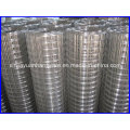 Concrete Reinforcement Welded Wire Mesh for Sale